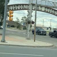 The Great Hitch Hunt of Texas
