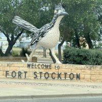 The Great Hitch Hunt of Texas