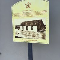 The Great Hitch Hunt of Texas