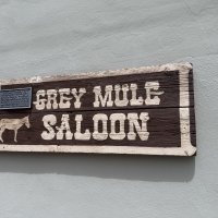 The Great Hitch Hunt of Texas