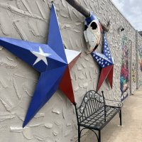 The Great Hitch Hunt of Texas