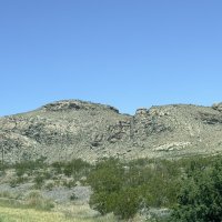 We Were Assaulted in the New Mexico Desert