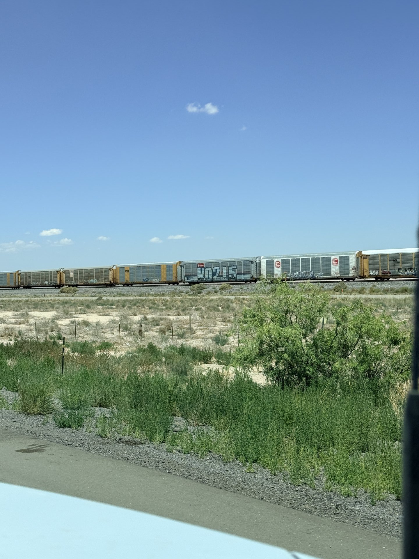 We Were Assaulted in the New Mexico Desert