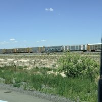 We Were Assaulted in the New Mexico Desert