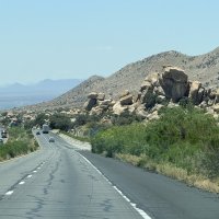 We Were Assaulted in the New Mexico Desert