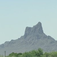 We Were Assaulted in the New Mexico Desert