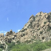 We Were Assaulted in the New Mexico Desert