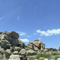 We Were Assaulted in the New Mexico Desert
