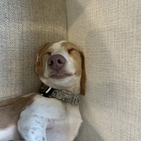 Because I got high, Because I got high, Because I got high...