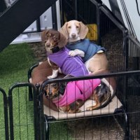 One Neighbor Changed Our Entire Week