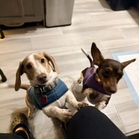 One Neighbor Changed Our Entire Week
