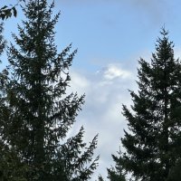 One Neighbor Changed Our Entire Week