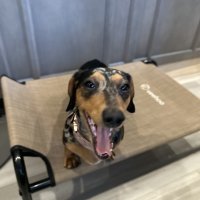 One Neighbor Changed Our Entire Week