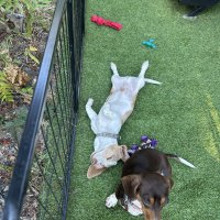 One Neighbor Changed Our Entire Week