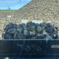 One Harvest, Two Williams, 80 Acres, and a Brand-New Adventure