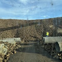 One Harvest, Two Williams, 80 Acres, and a Brand-New Adventure