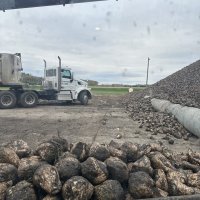 We Got Beet! From North Dakota Mud to Ohio Memories, Pizza, and Wiener Races!