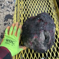 We Got Beet! From North Dakota Mud to Ohio Memories, Pizza, and Wiener Races!