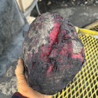 We Got Beet! From North Dakota Mud to Ohio Memories, Pizza, and Wiener Races!