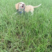 Mice, Miles, and Making It to Texas