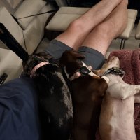 Mice, Miles, and Making It to Texas
