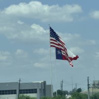 Mice, Miles, and Making It to Texas